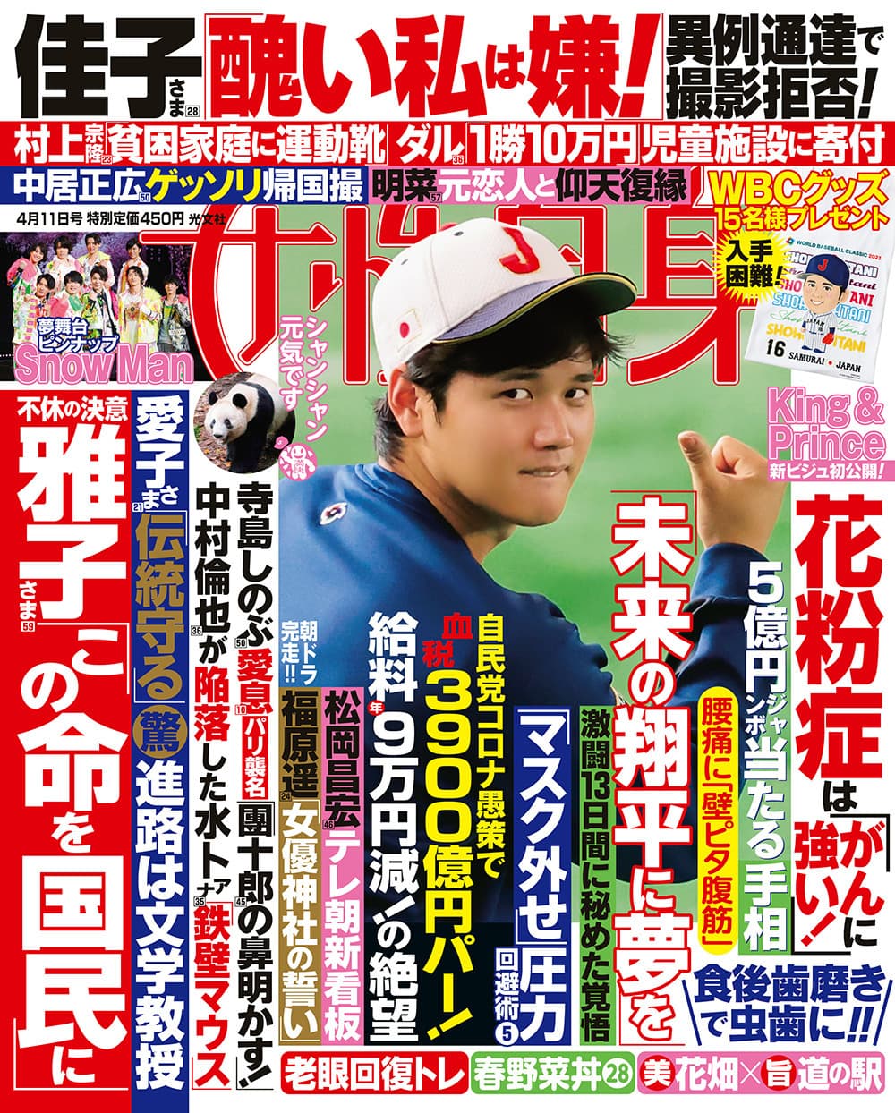 東京 神奈川県 結婚相談所 再婚 初婚